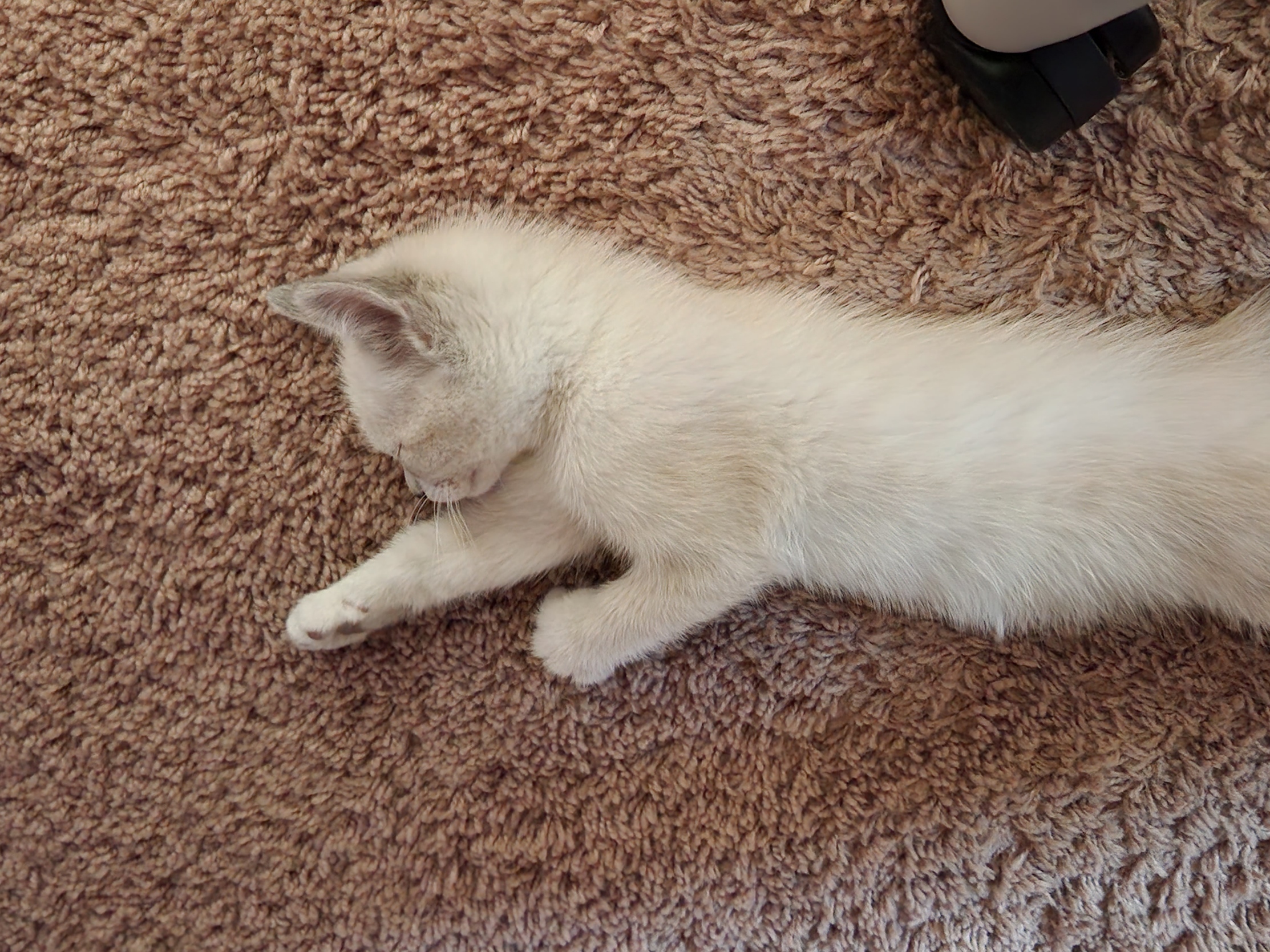 placeholder image-sq