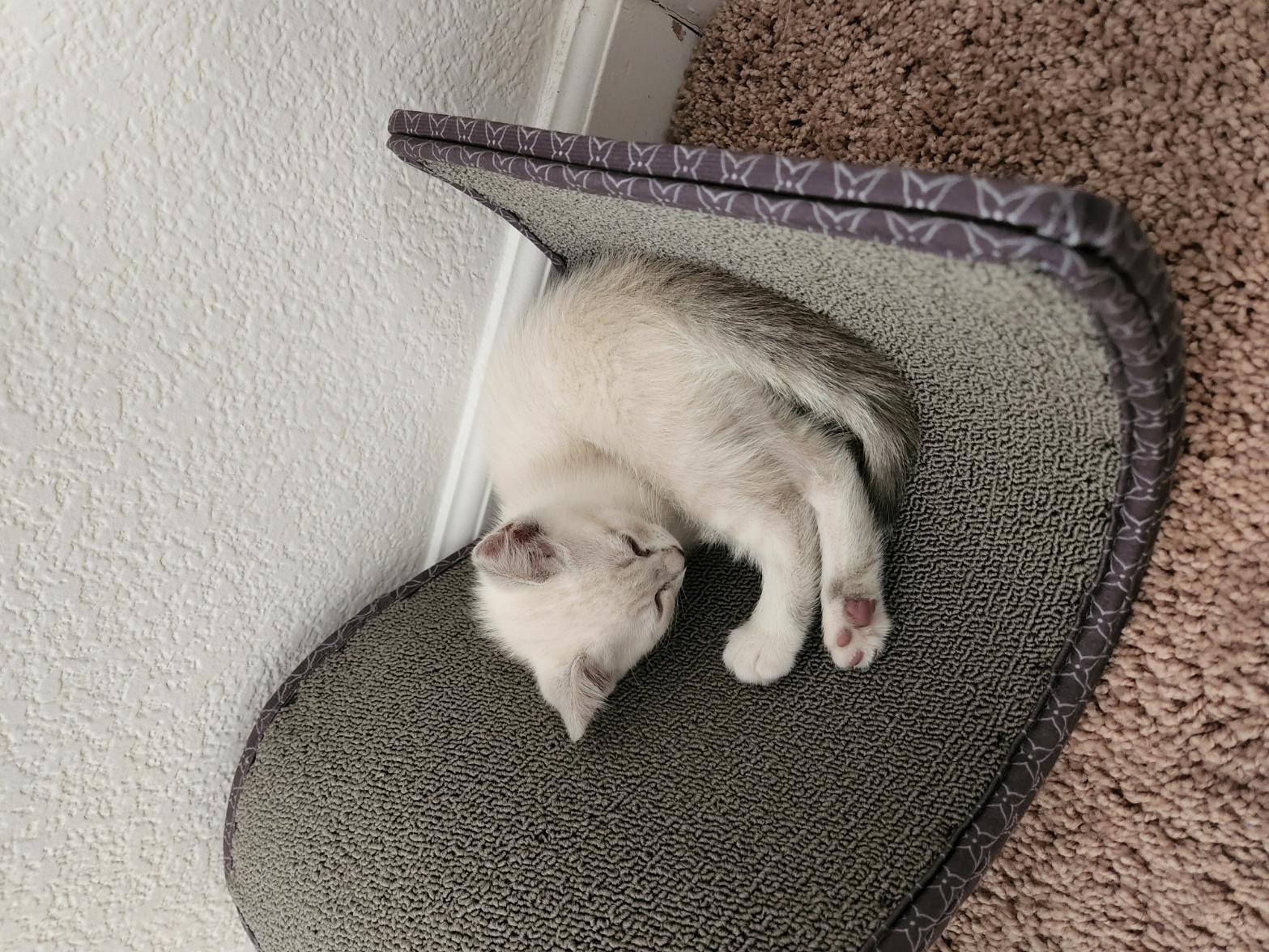 placeholder image-sq