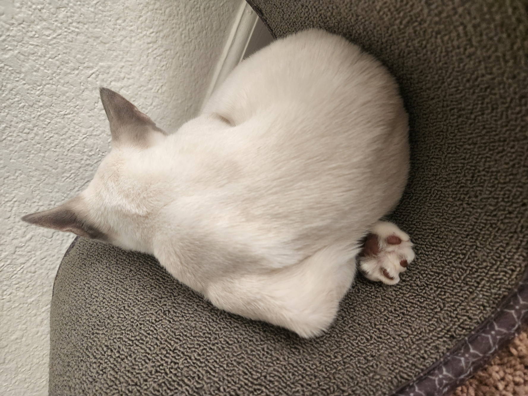 placeholder image-sq