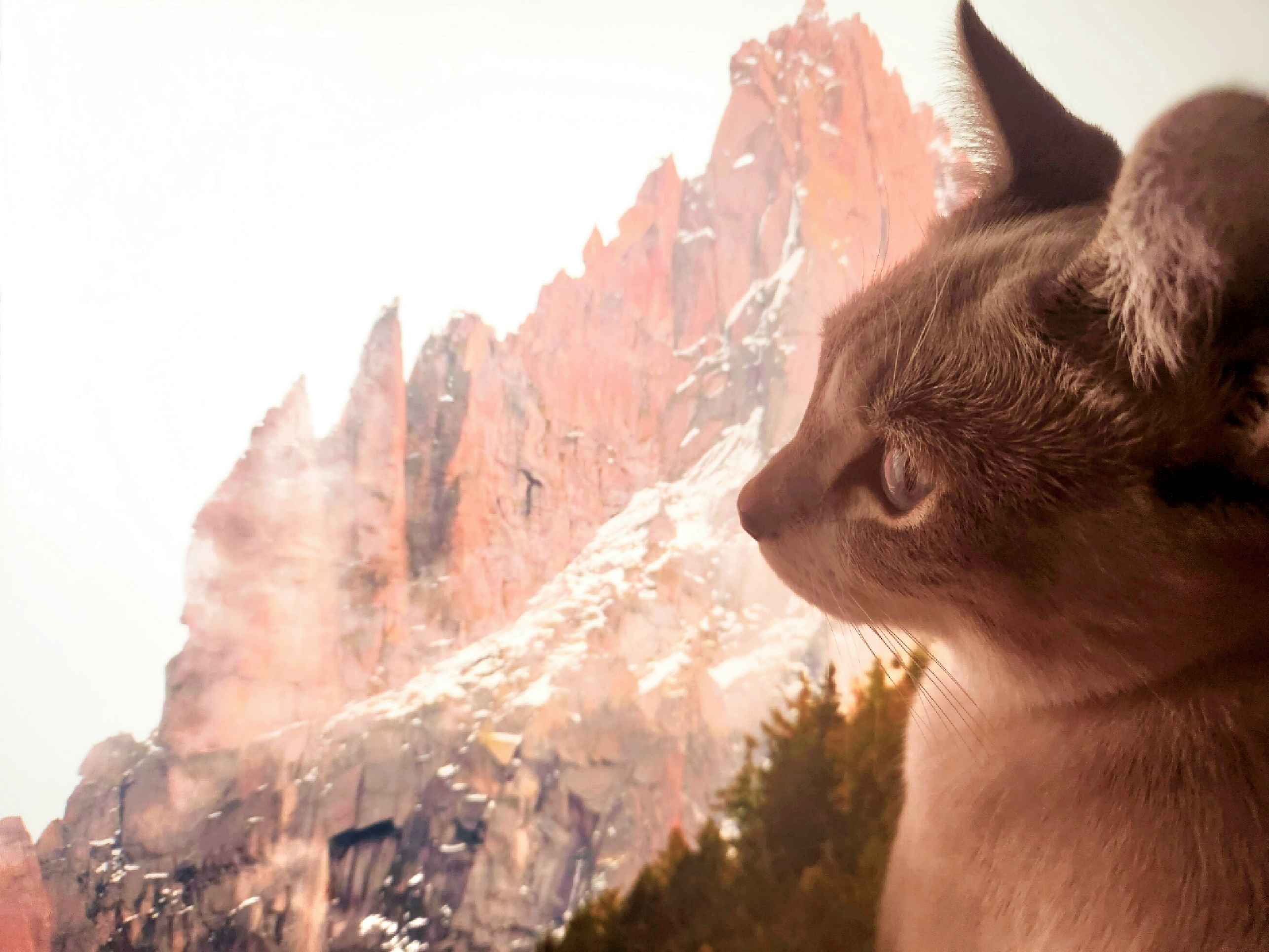 placeholder image-sq