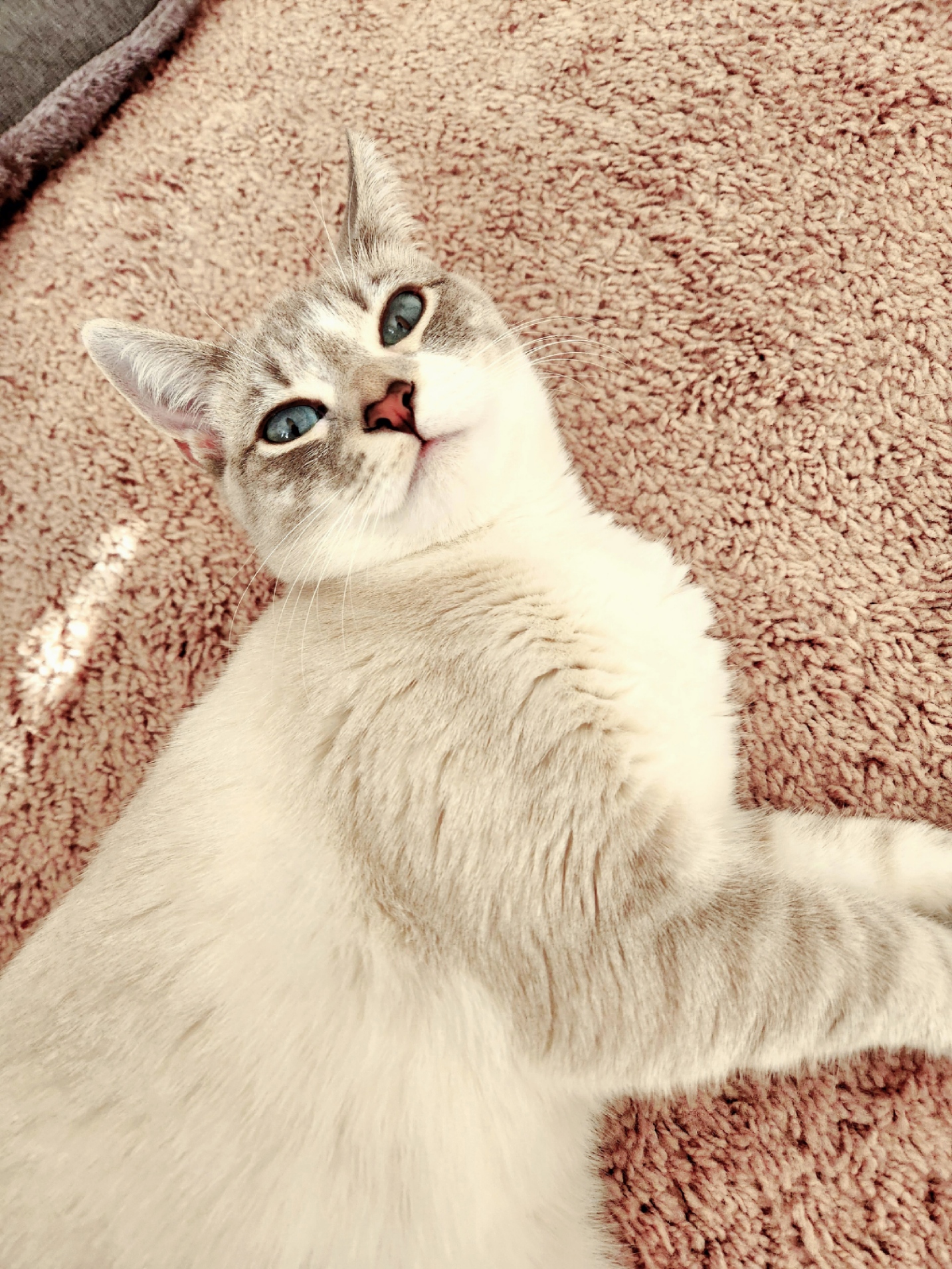 placeholder image-sq