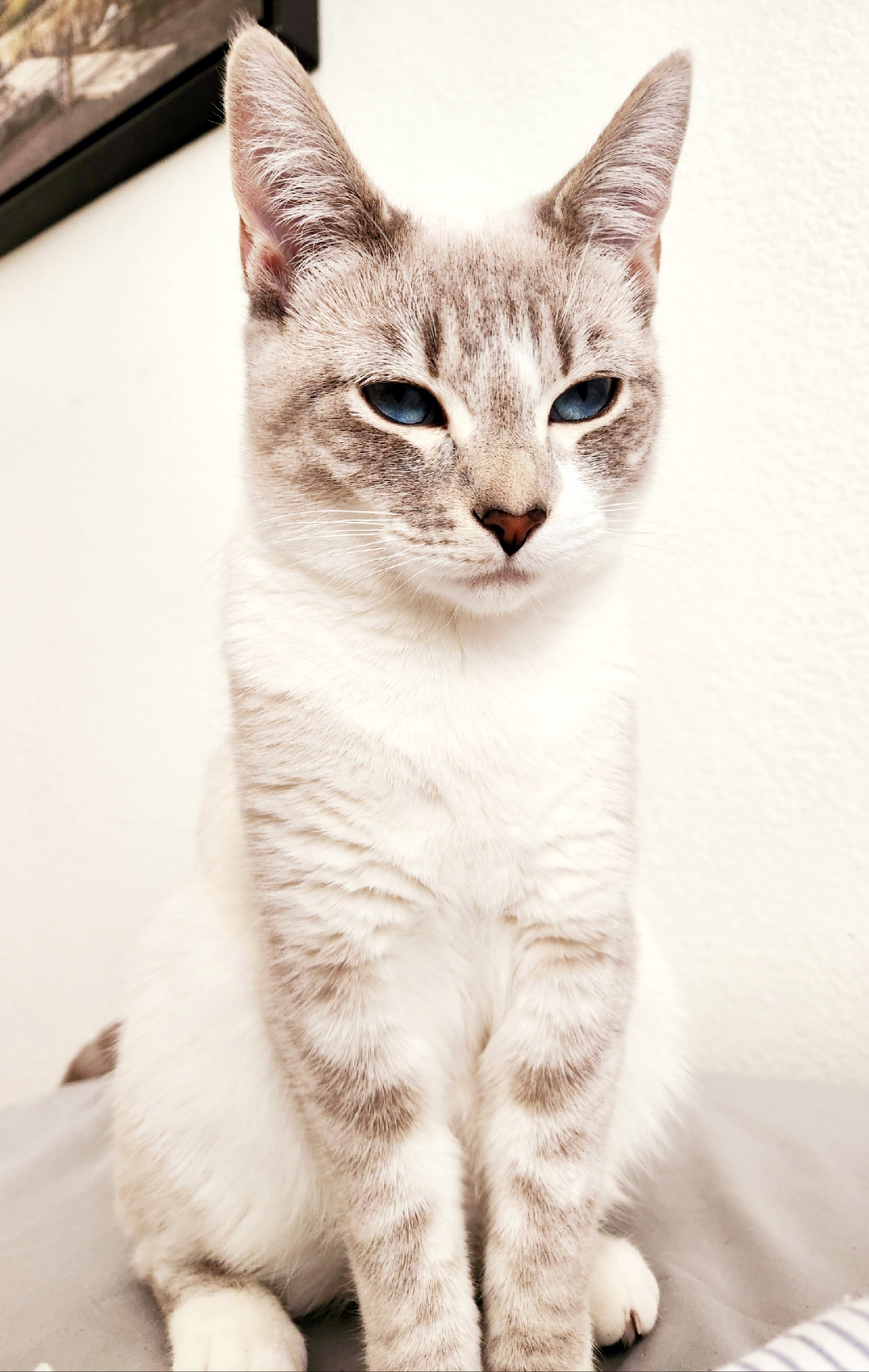 placeholder image-sq