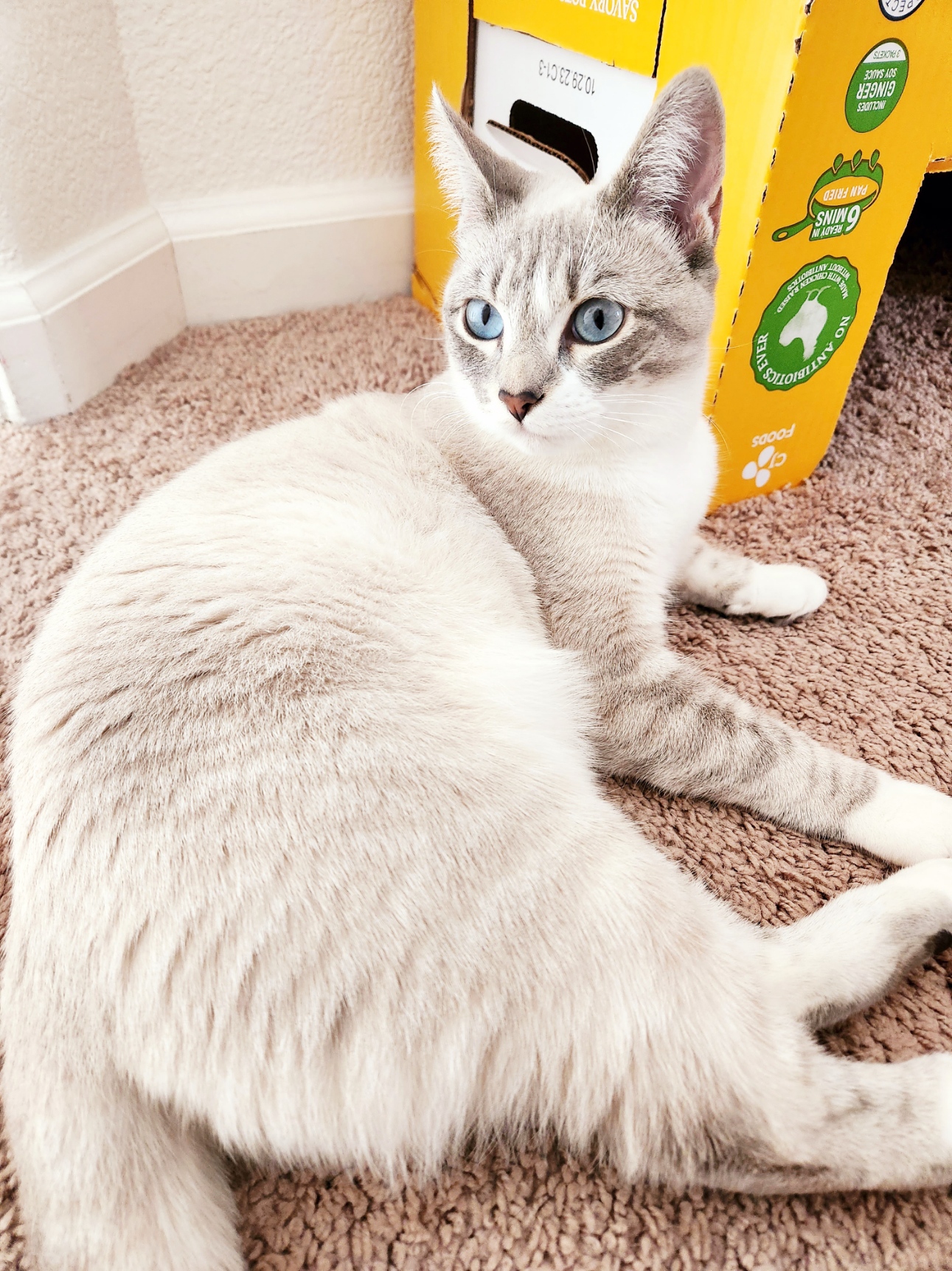 placeholder image-sq