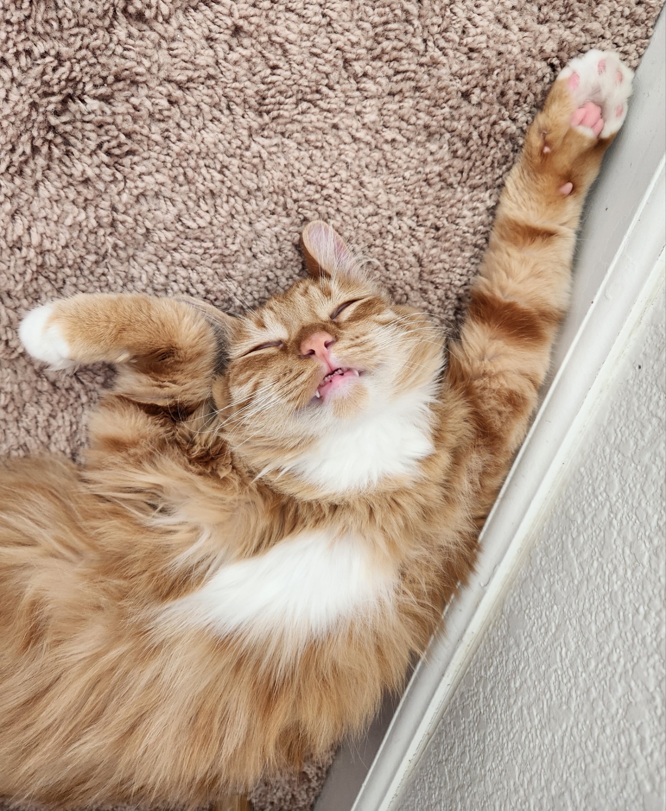 placeholder image-sq