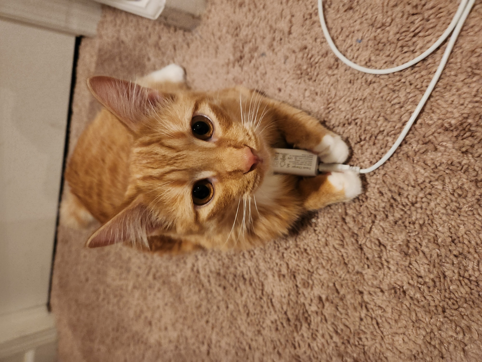 placeholder image-sq