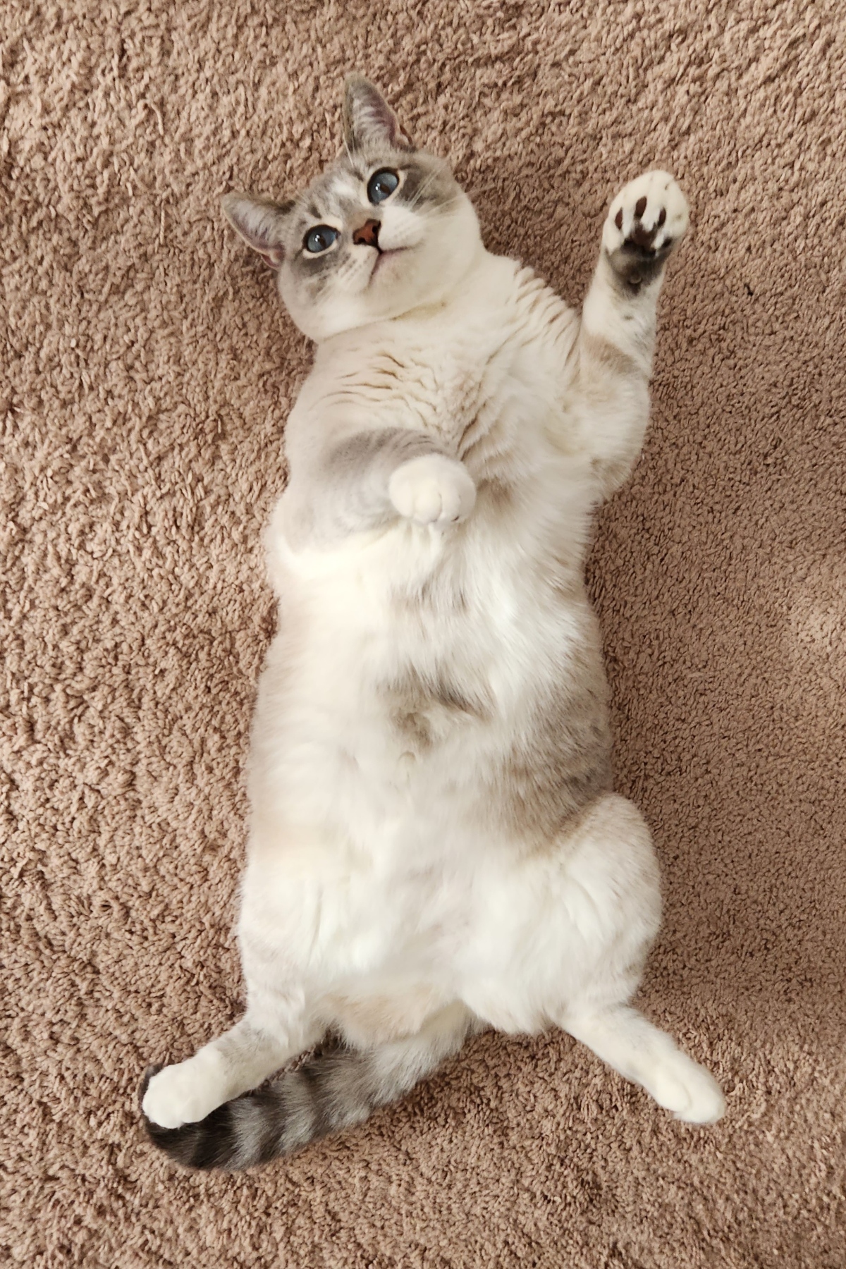 placeholder image-sq