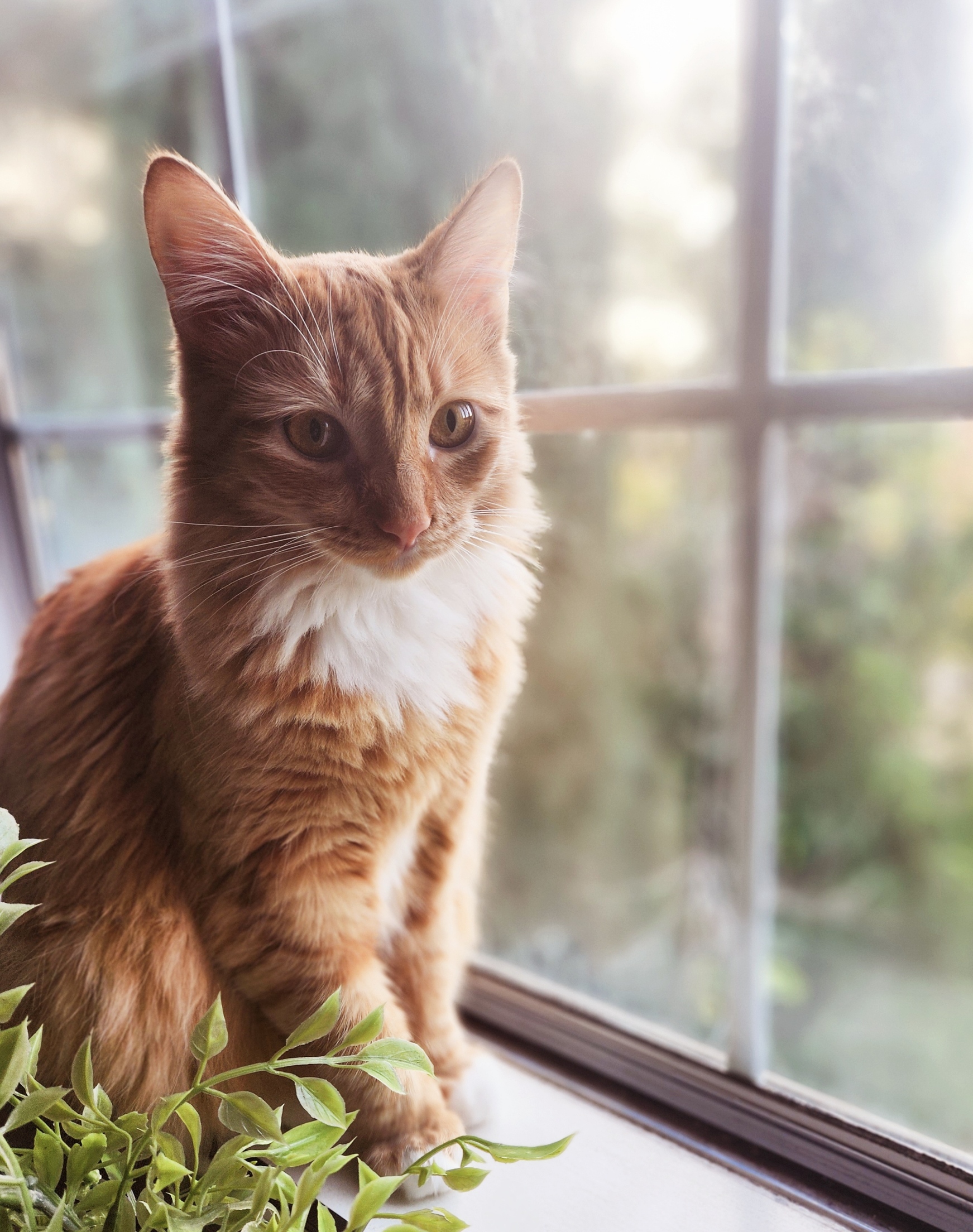 placeholder image-sq