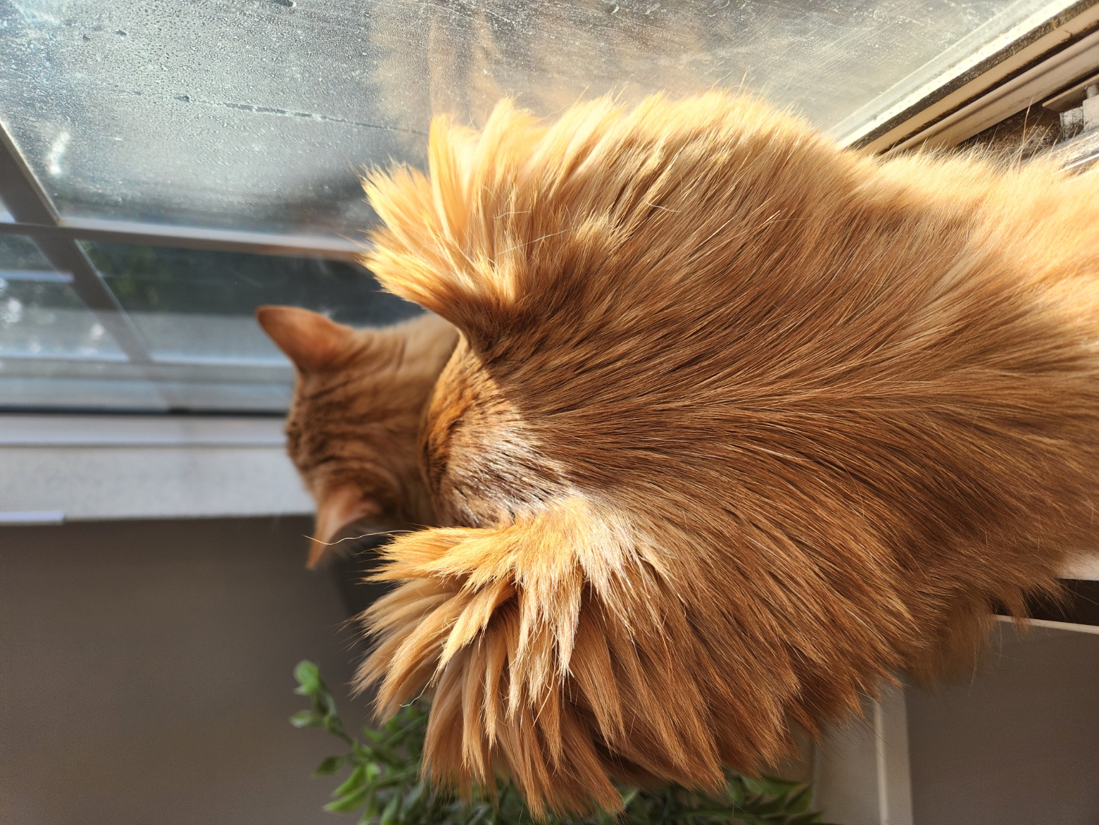 placeholder image-sq