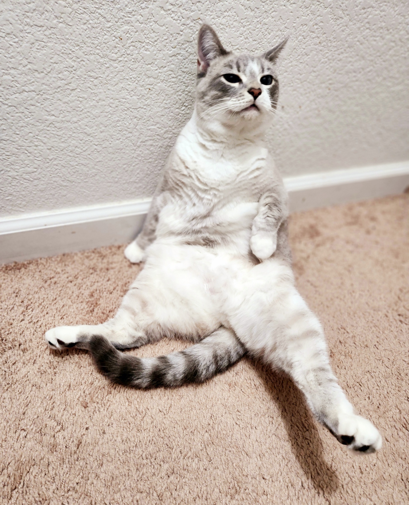 placeholder image-sq