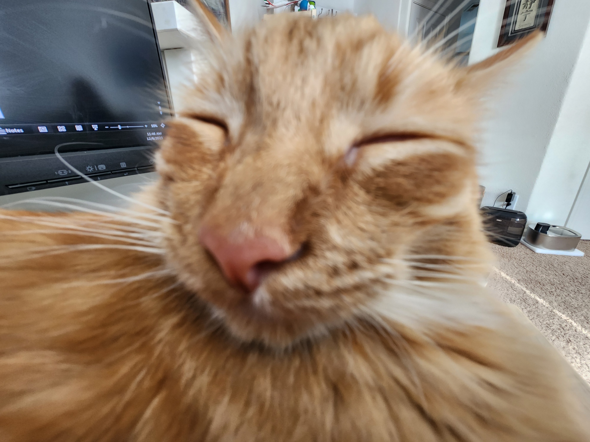 placeholder image-sq