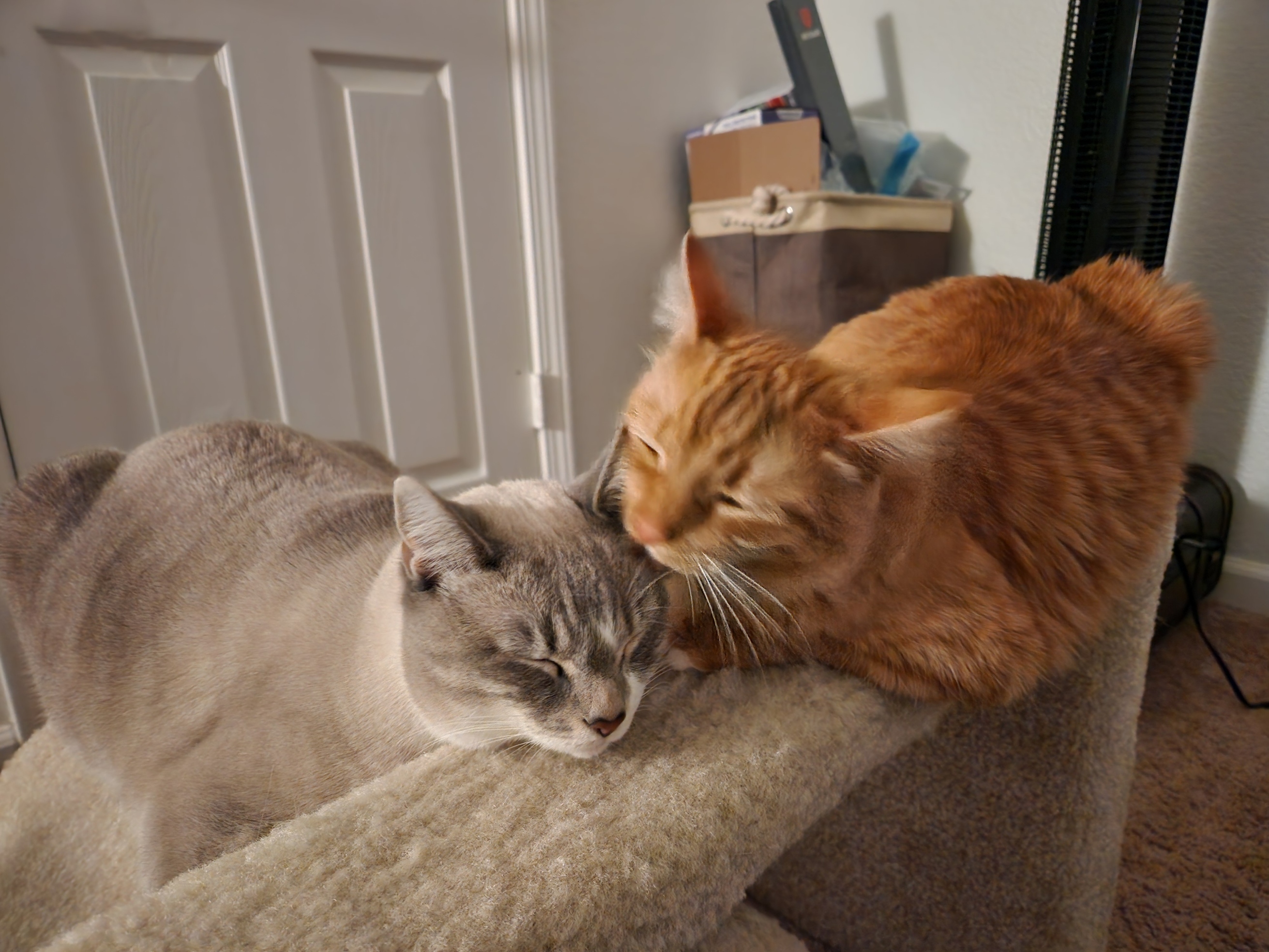 placeholder image-sq