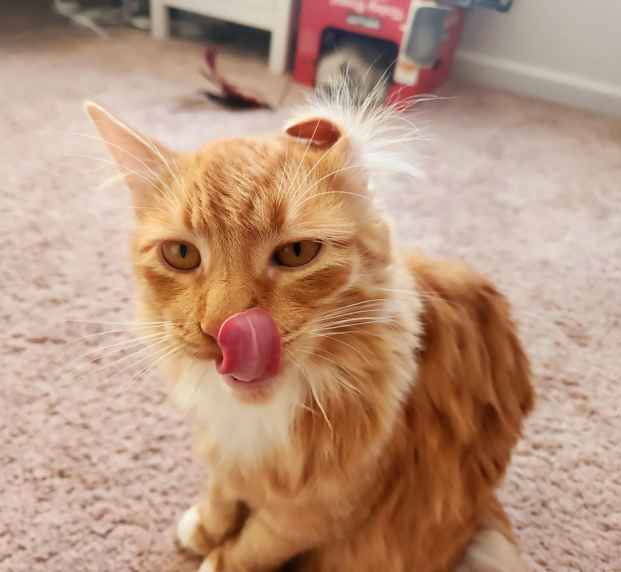 placeholder image-sq